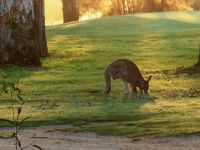 Benalla Camera Club