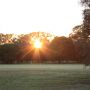 Melissa Tweedale Sunrise on Golf Course